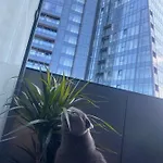 Silence Hanza Tower * Щецин