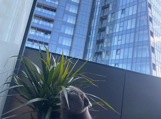 Silence Hanza Tower * Szczecin